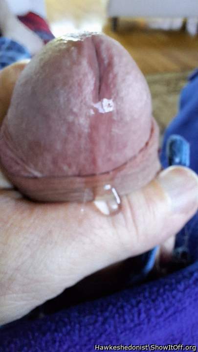 Photo of a pocket rocket from Hawkeshedonist