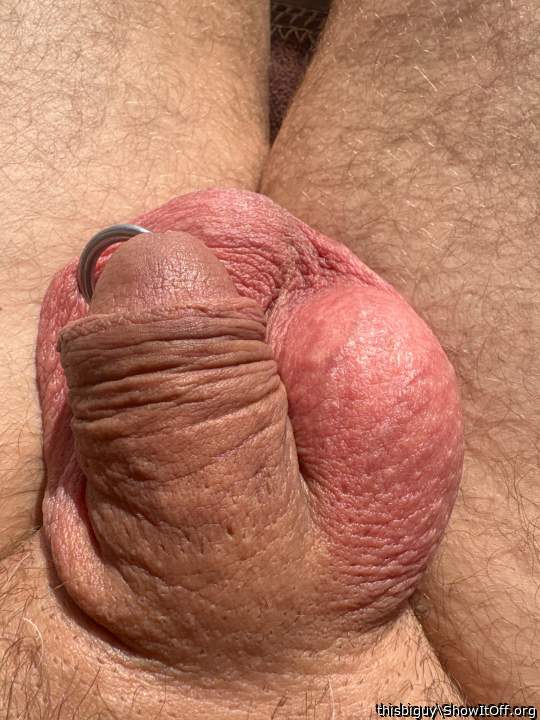 Photo of a middle leg from thisbiguy