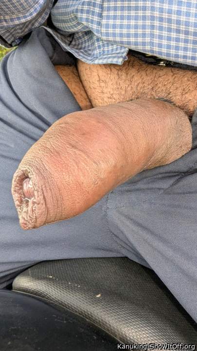 fantastic dick 