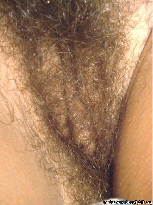 Wife's hairy pussy