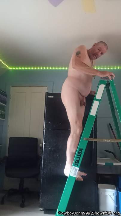 Photo of a lizard from CowboyJohn999