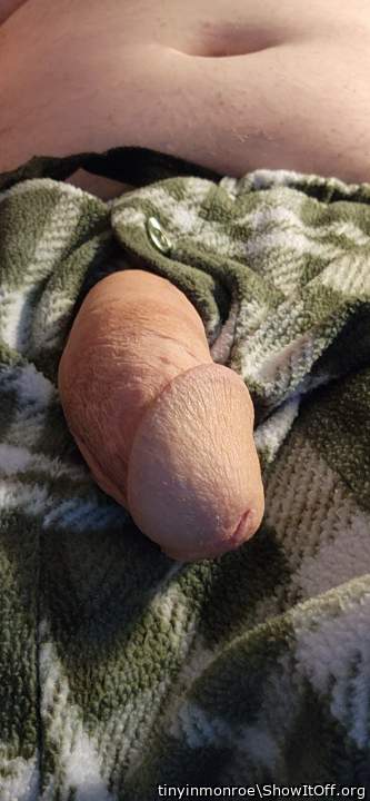 Looks very tasty 