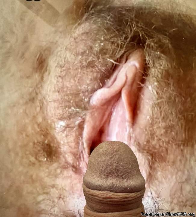 Photo of a bald-headed mouse from Cornishman