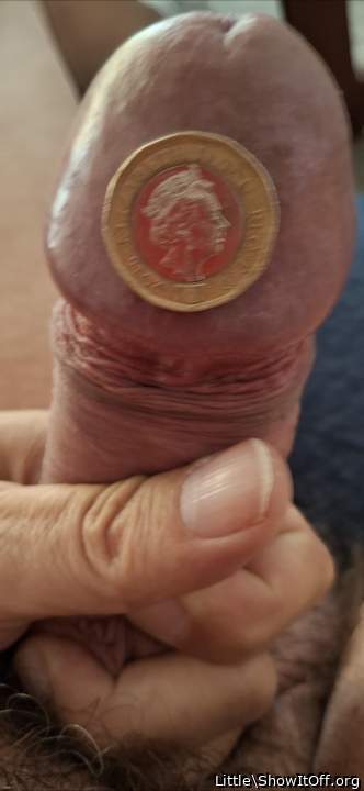 grande cogumelo. Parab�ns.
