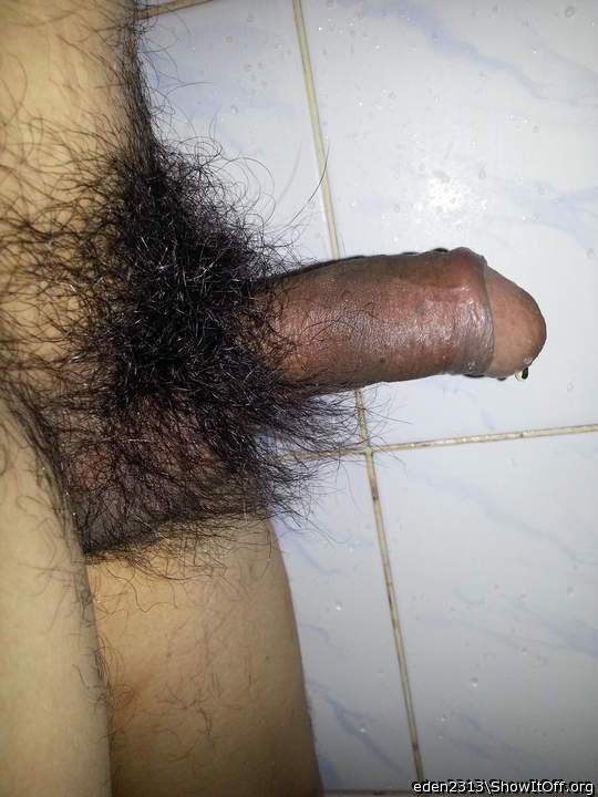 Photo of a cock from eden2313