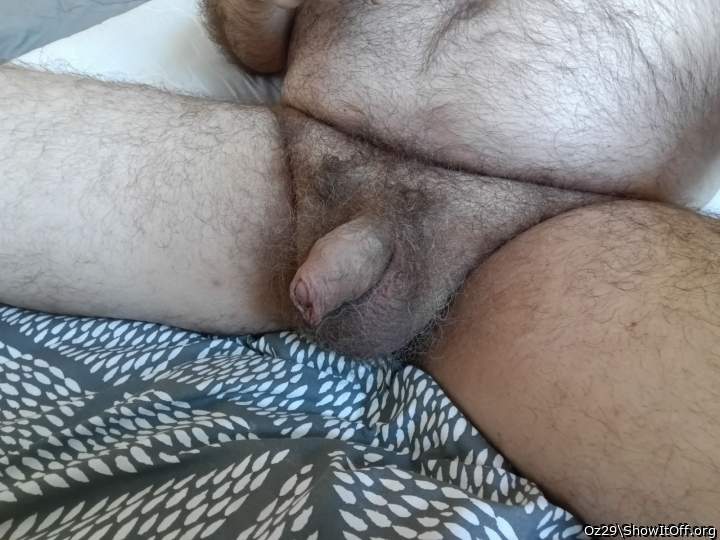 Resting cock