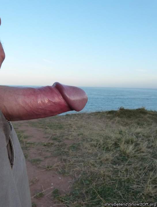 My Bell End Out For A Wank By The Sea
