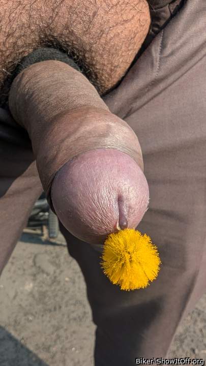 Photo of a love wand from Biker