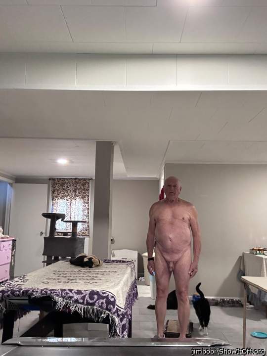 Photo of a weasel from jimbobi