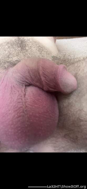 Photo of a penile from La32HT