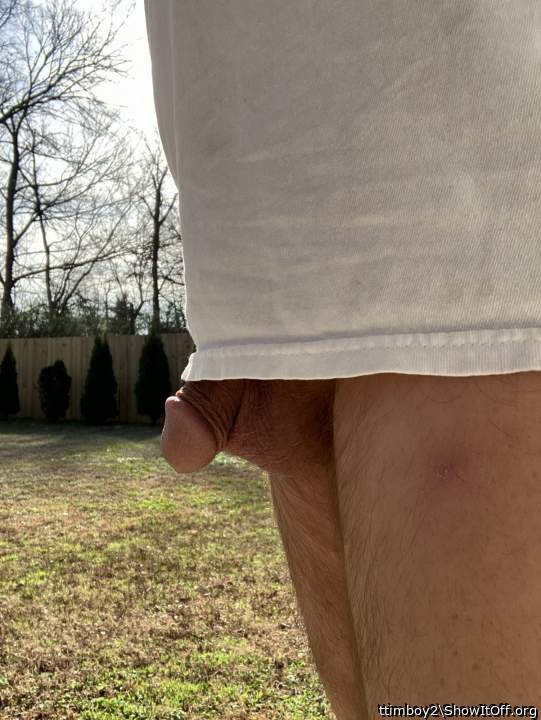 Photo of a weasel from ttimboy2