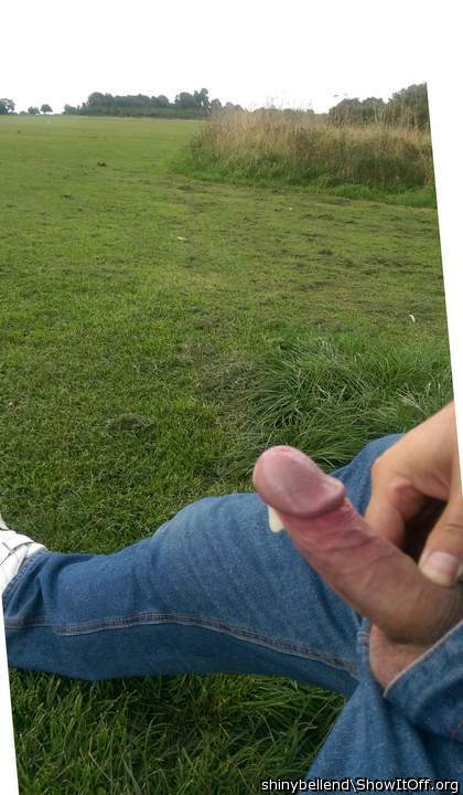 Wank In The Park
