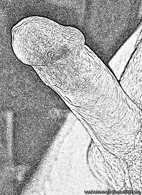 Sketch: Erect Penis