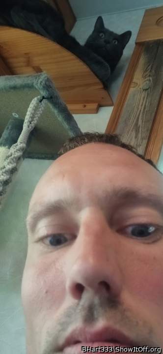 Photo of a cock from BHart333