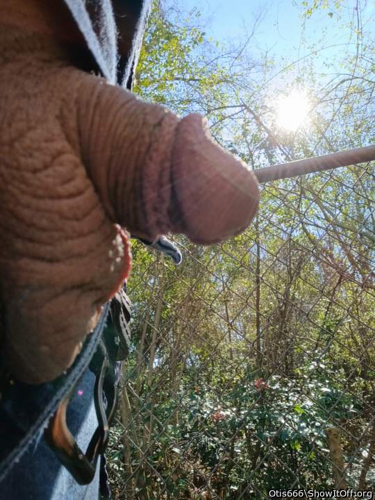 Photo of a love wand from Otis666