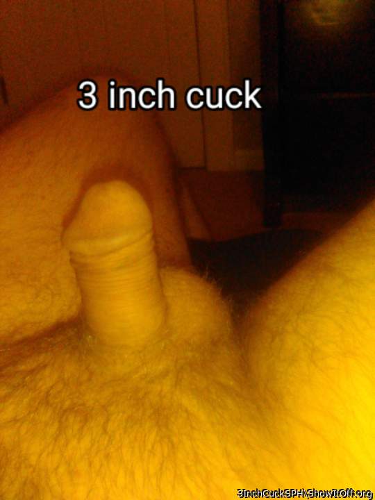 Photo of a dick from 3InchCuckSPH