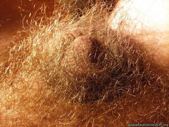 My Favorite. Love your hairy cock and balls.
