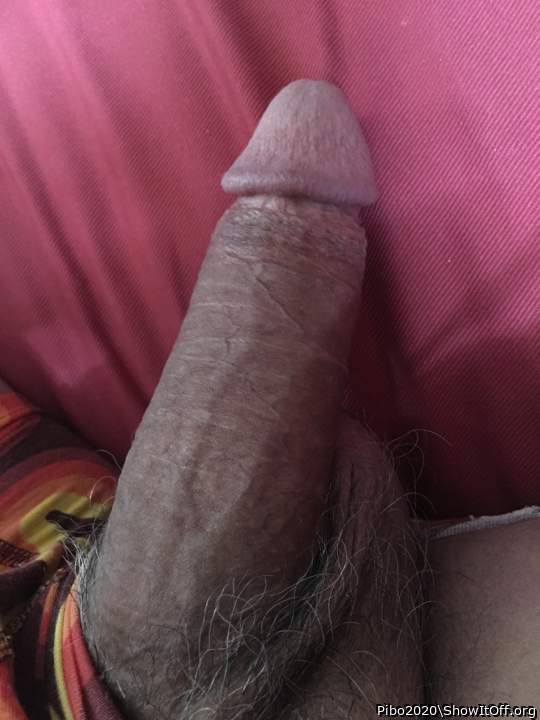 I look at your cock everyday and wish I had something like t