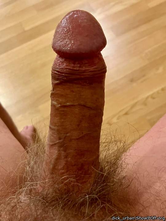 spit lubed cock