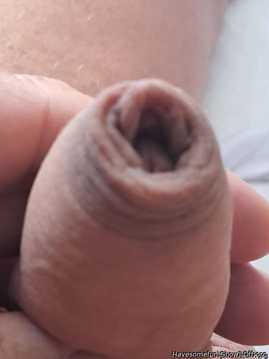 Photo of a snake from Havesomefun