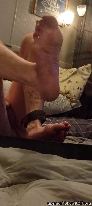 Photo of a lizard from gperson