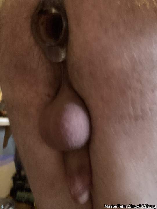 Photo of Man's Ass from MasterTelm