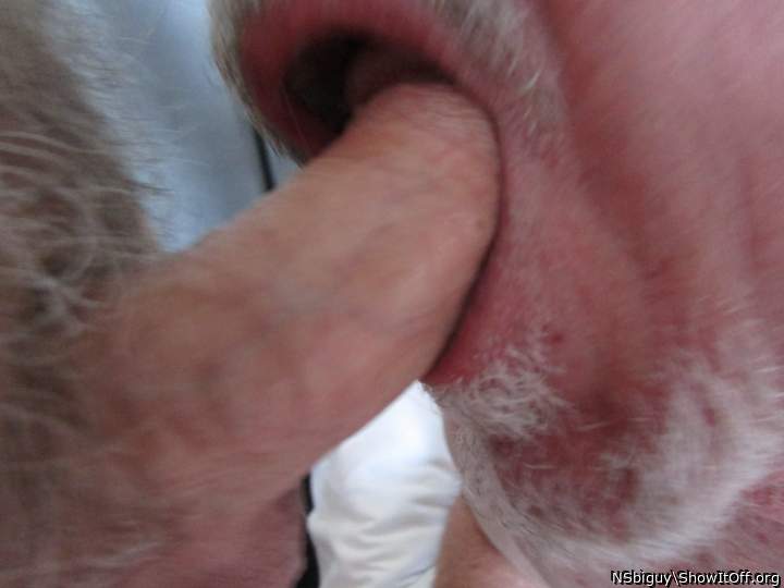 Photo of a rooster from NSbiguy