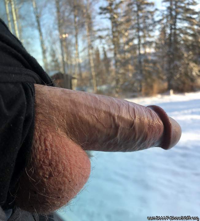 Photo of a penis from sam51117