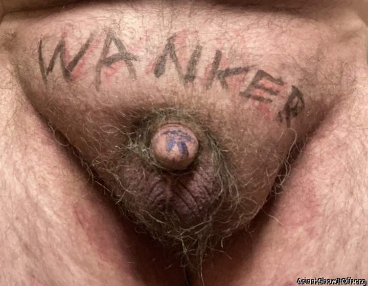 Photo of a bat from Arinn