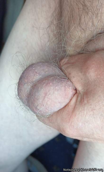 Testicles Photo from Notsosexy