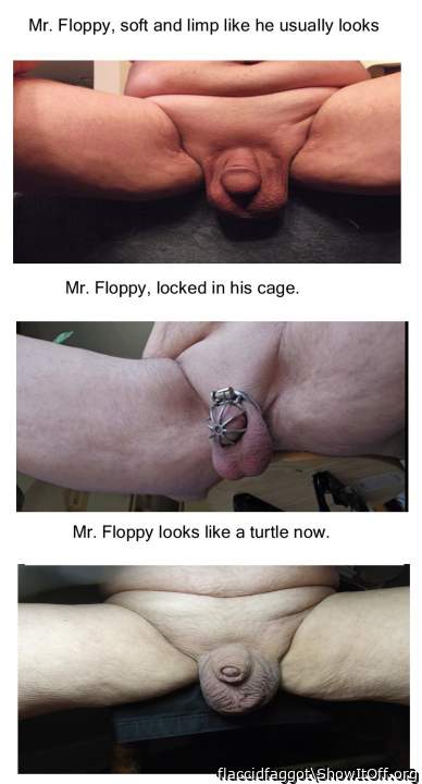 Photo of a wiener from flaccidfaggot