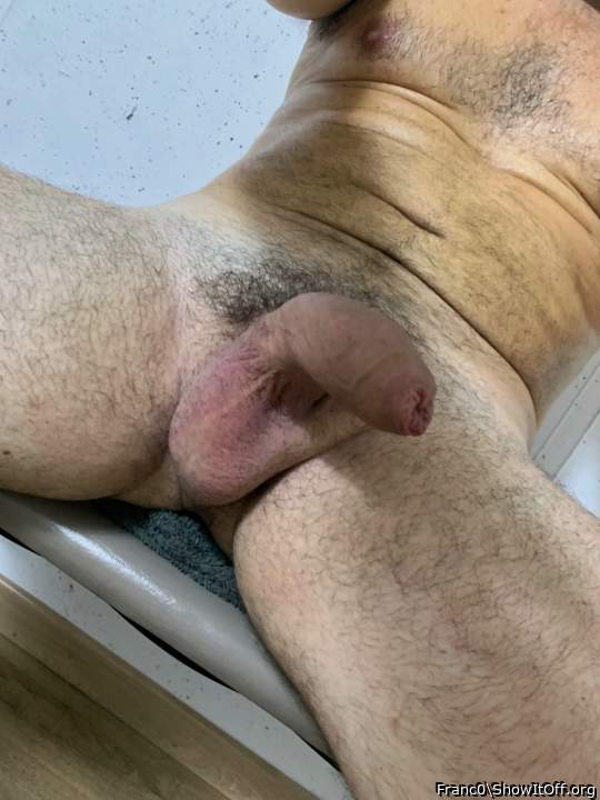 Photo of a weasel from Franc0