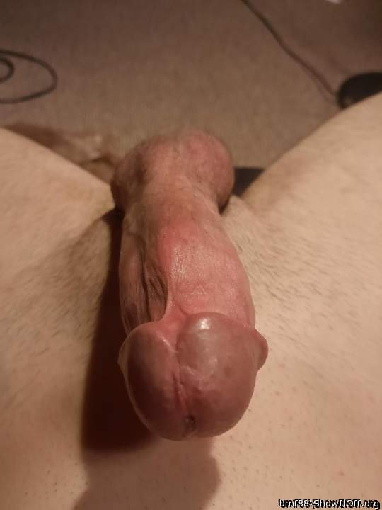 Photo of a boner from bmf88