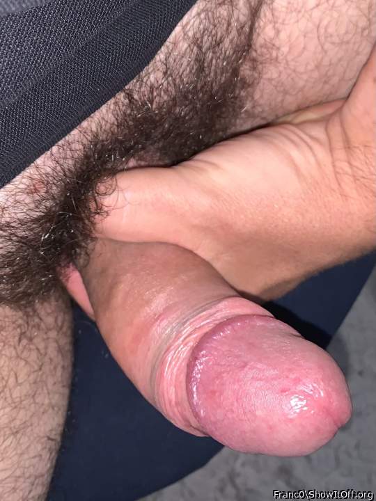 Photo of a middle leg from Franc0