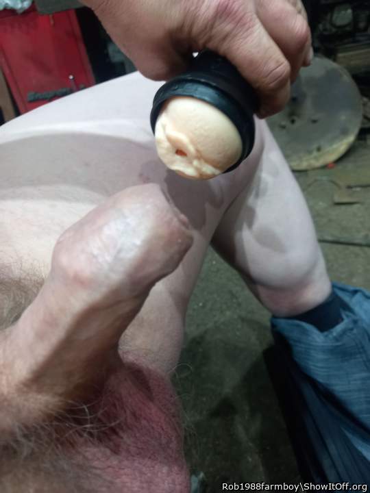 Photo of a cavalier from Rob1988farmboy