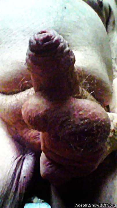 Photo of a prick from Ade59