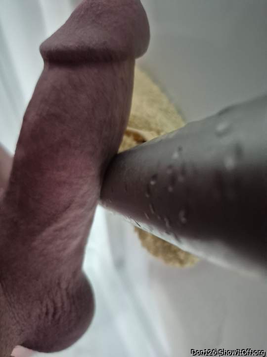 Photo of a middle leg from Don126