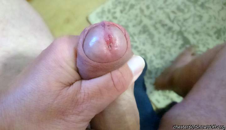 Photo of a pecker from chester60