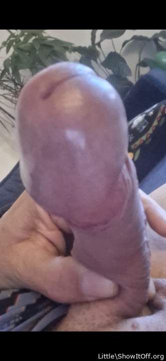 Man what an impressive head!!!