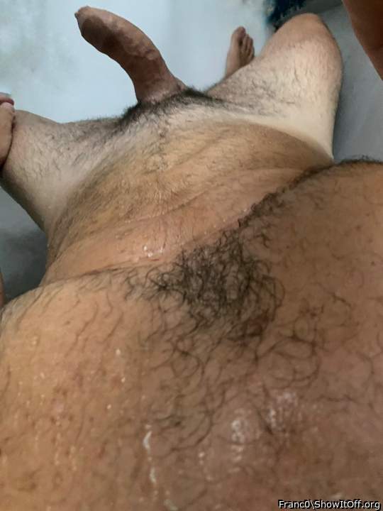 Photo of a cock from Franc0