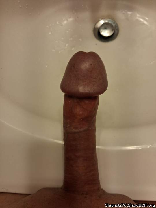Photo of a python from Slapnutz76
