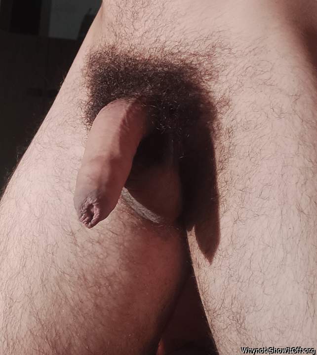 This is very nice soft cock