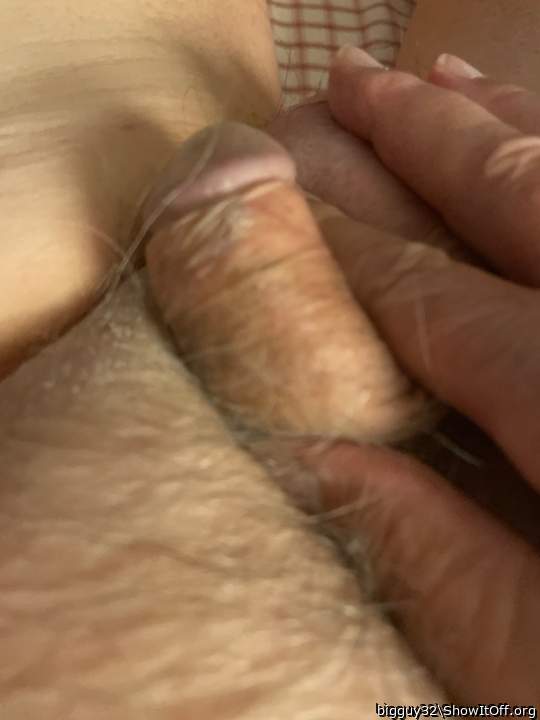 Photo of a rooster from bigguy32