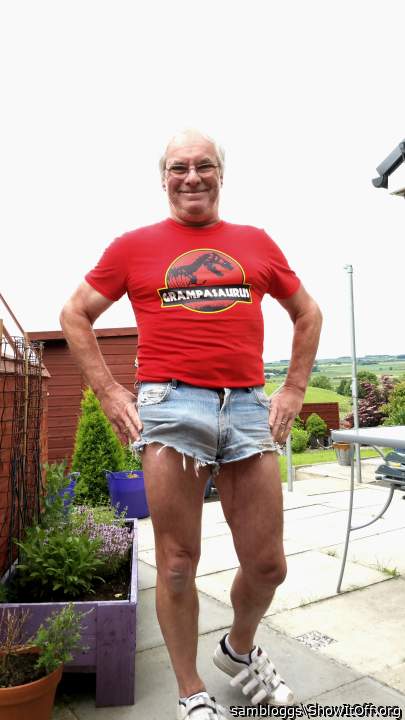 Photo of a horn from sambloggs