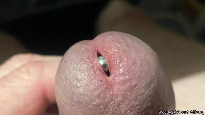 Photo of a horn from Woody34