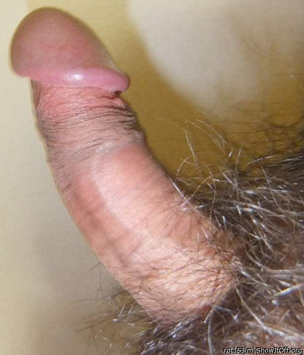 hard cock