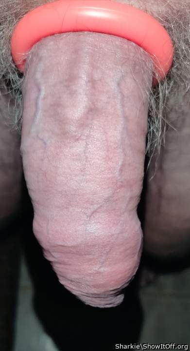 Photo of a boner from Sharkie