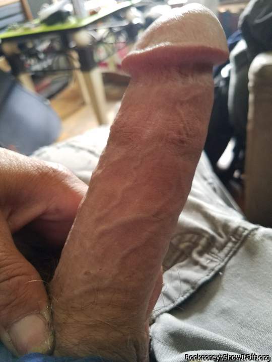 Photo of a snake from Rockcorey