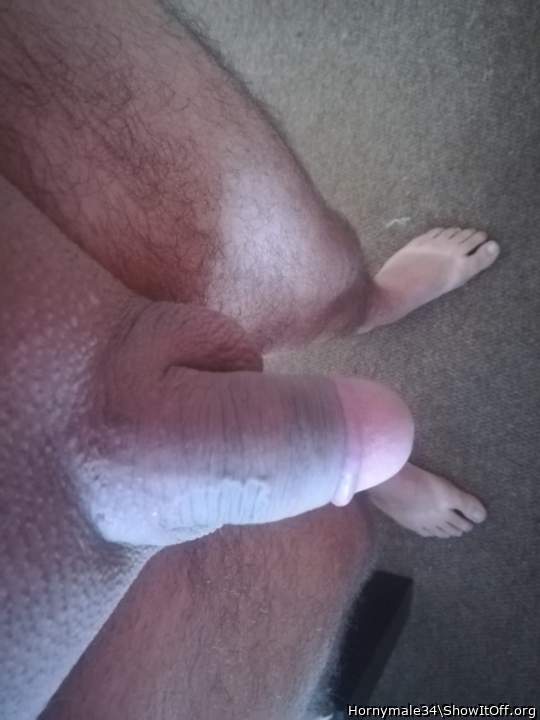 Photo of a prick from Hornymale34