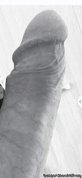 Photo of a shaft from Dumper